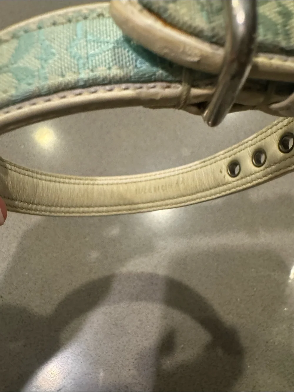 Coach Signature Light Blue Dog Collar size small